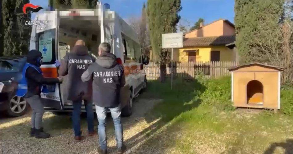 WhatsApp Image 2023-01-25 at 13.11.48