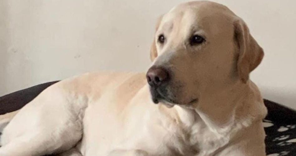 WhatsApp Image 2023-02-22 at 19.04.30