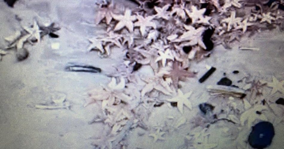 WhatsApp Image 2023-02-25 at 09.01.35