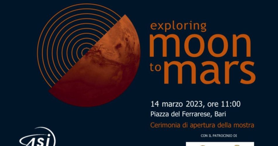 WhatsApp Image 2023-03-10 at 10.50.09