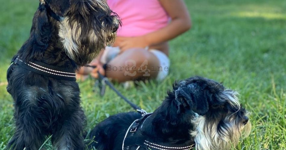 WhatsApp Image 2023-03-11 at 10.00.48