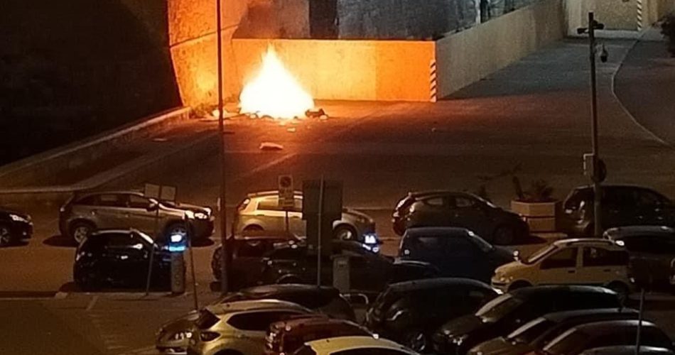 WhatsApp Image 2023-03-20 at 12.00.37