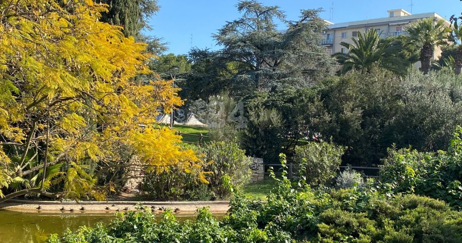 parco due giugno tartarughe