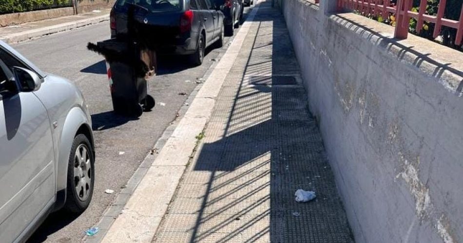 WhatsApp Image 2023-04-07 at 16.31.19