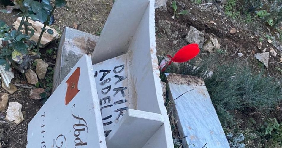 WhatsApp Image 2023-04-13 at 10.13.22