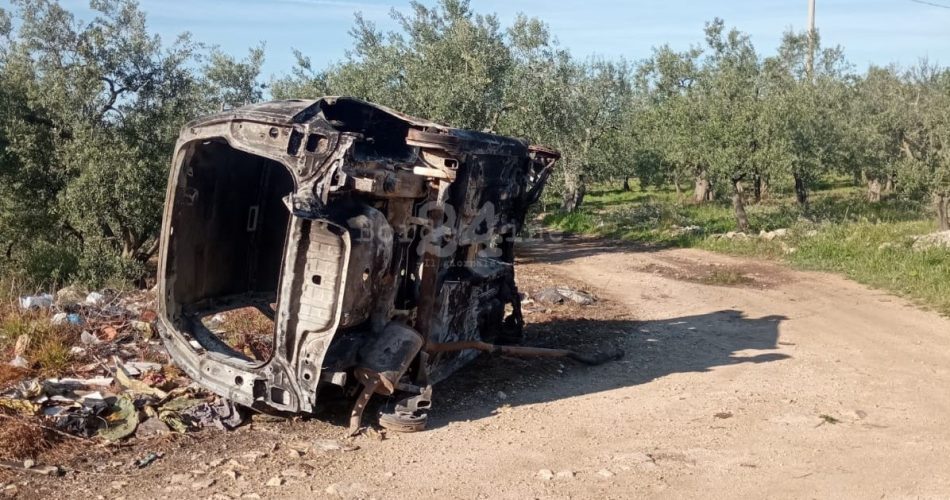 carcassa auto Terlizzi