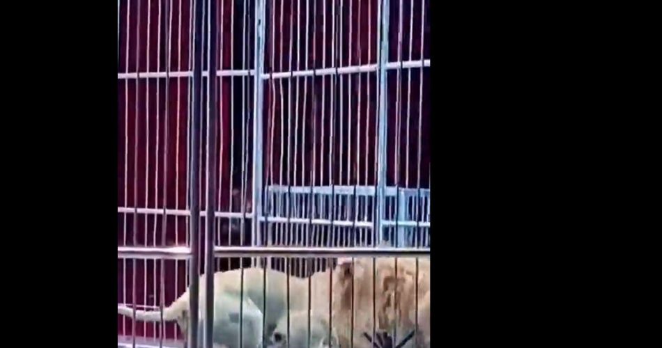 WhatsApp Image 2023-04-29 at 11.53.41