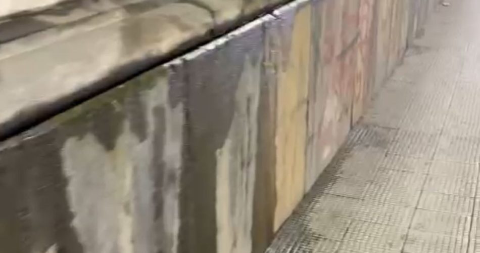 WhatsApp Image 2023-05-03 at 11.26.19