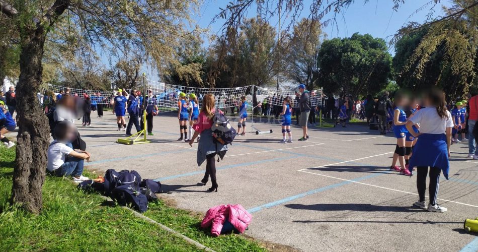 festa volley