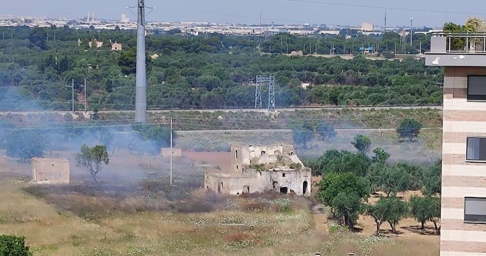 WhatsApp Image 2023-06-21 at 16.16.56