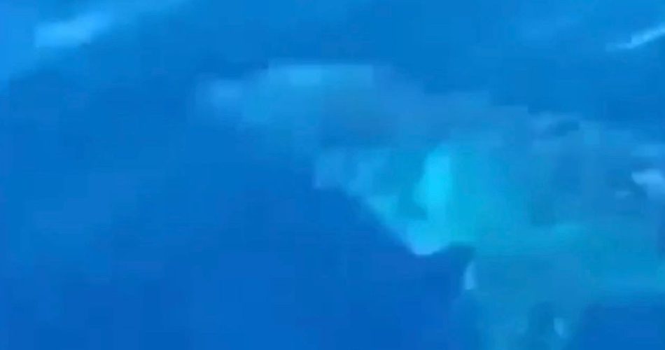 WhatsApp Image 2023-06-23 at 09.24.35