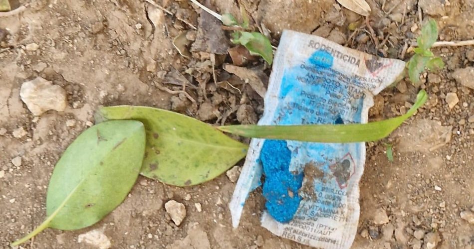 WhatsApp Image 2023-06-28 at 17.49.13 (1)