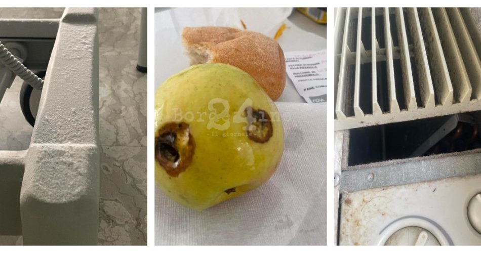 WhatsApp Image 2023-07-01 at 15.13.51