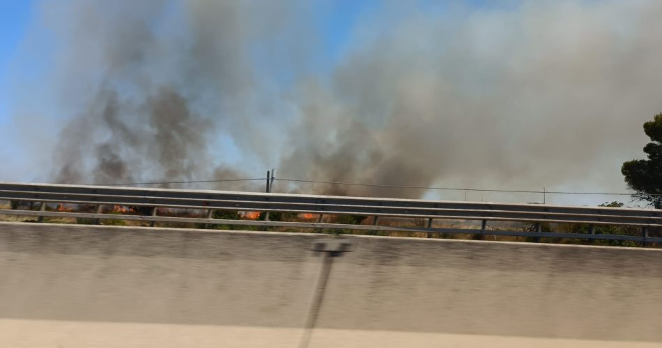 WhatsApp Image 2023-07-09 at 13.23.26