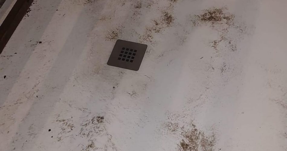 WhatsApp Image 2023-07-10 at 15.34.15