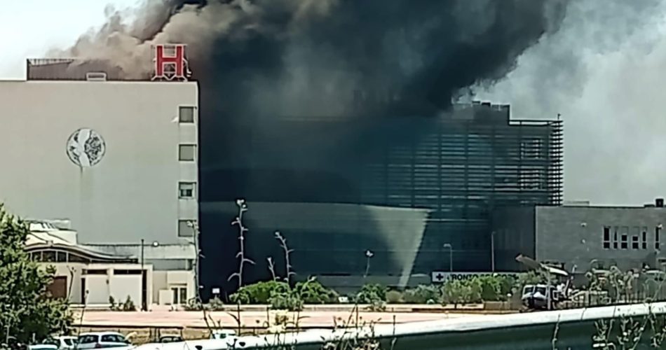 WhatsApp Image 2023-07-11 at 12.29.46 (1)