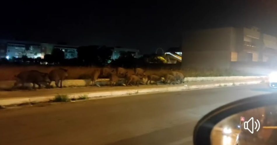 WhatsApp Image 2023-07-17 at 08.53.38