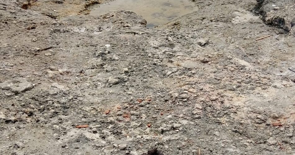 WhatsApp Image 2023-07-21 at 17.09.40