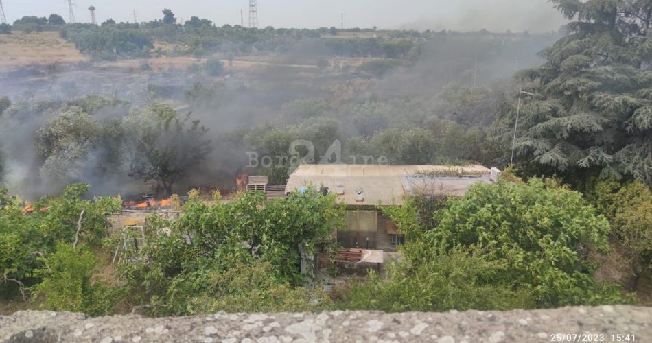 WhatsApp Image 2023-07-25 at 15.41.56