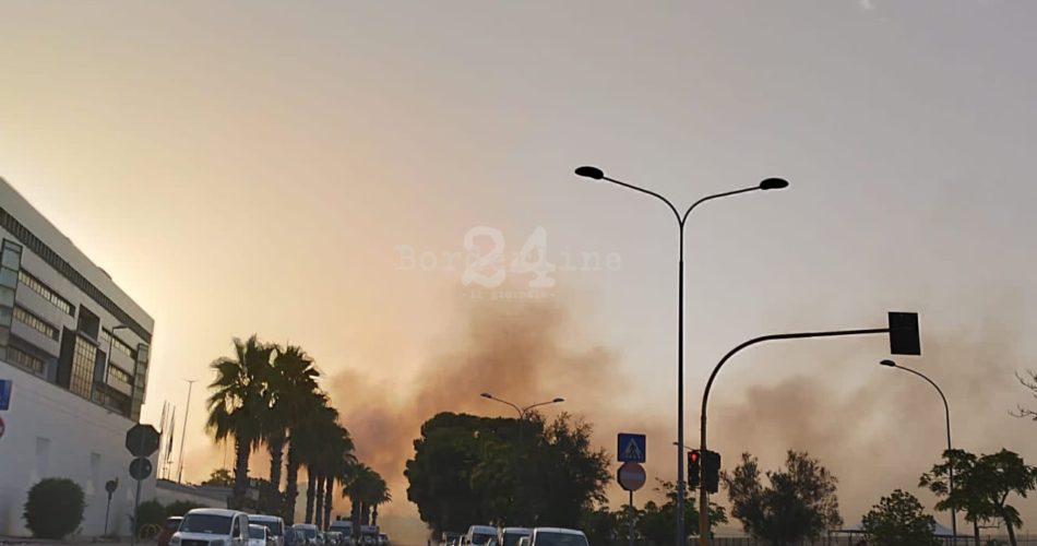 WhatsApp Image 2023-07-25 at 19.36.52