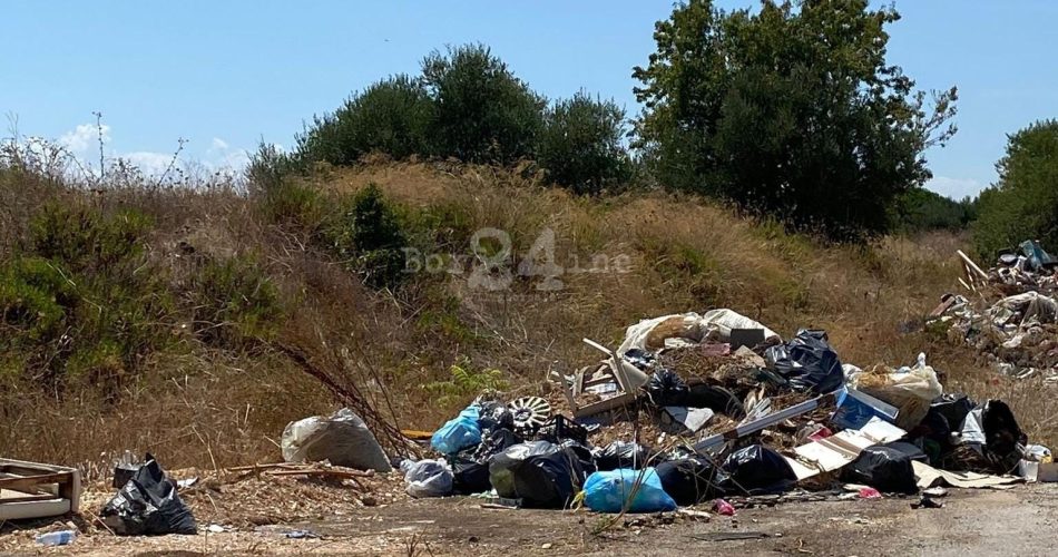 rifiuti ex mercato San Pio