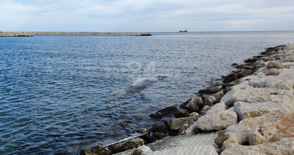 barca affondata