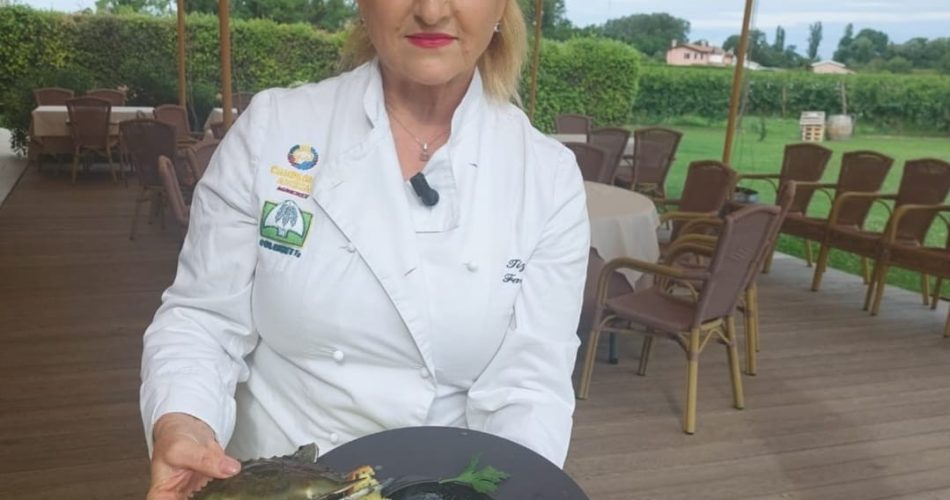 WhatsApp Image 2023-08-21 at 15.33.33