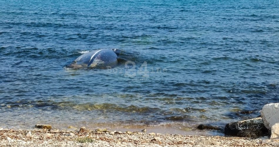 relitto barca san girolamo