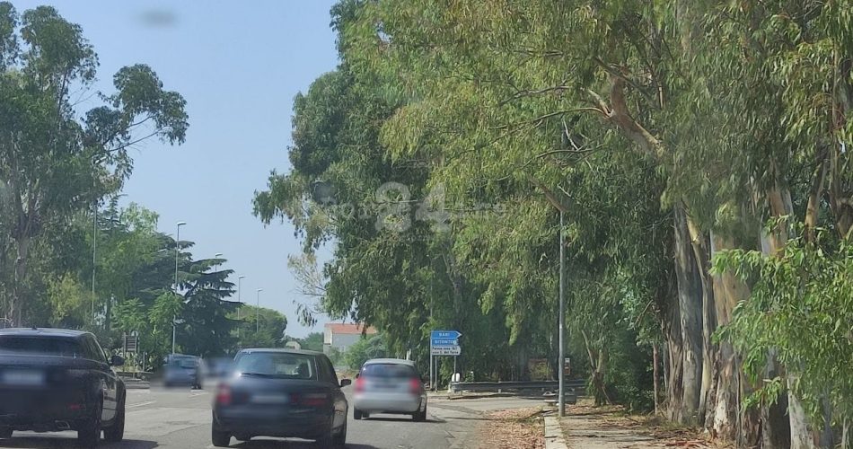 WhatsApp Image 2023-08-26 at 12.19.17 (5)