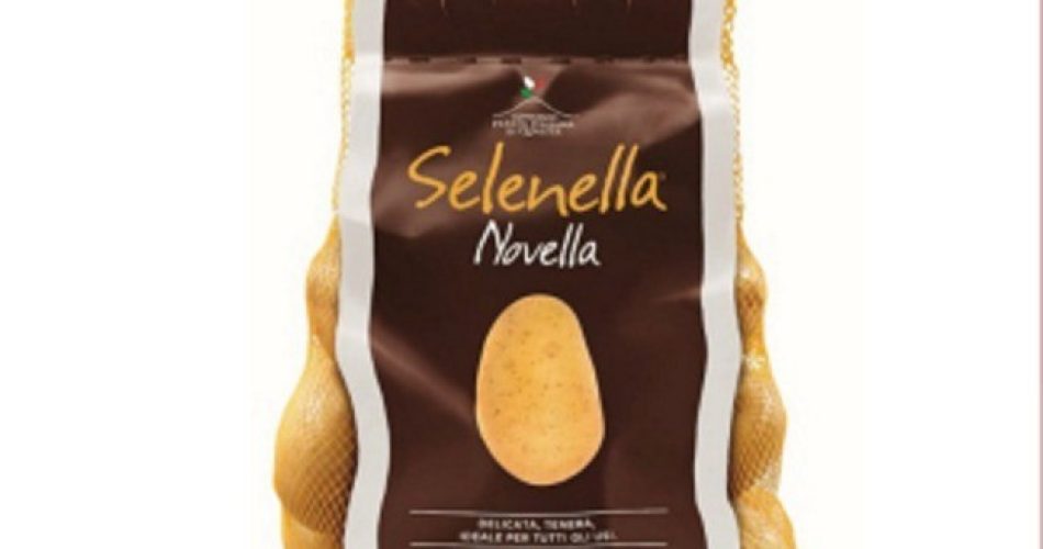 WhatsApp Image 2023-08-29 at 18.37.25