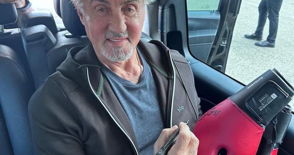 WhatsApp Image 2023-09-07 at 16.54.33