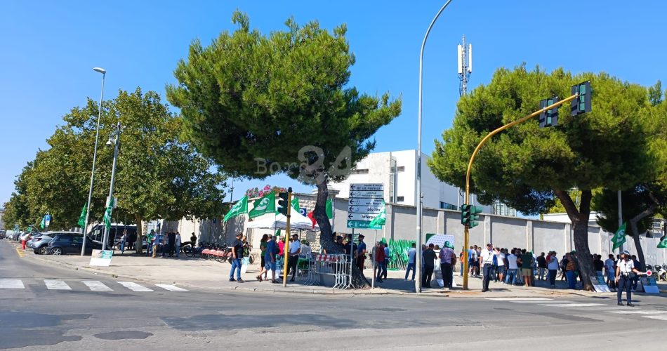 manifestazione cia