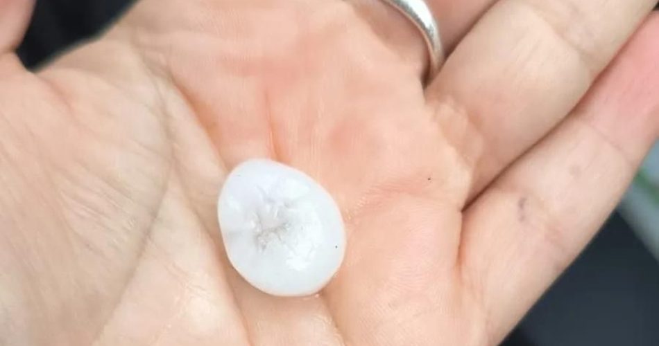 WhatsApp Image 2023-09-23 at 18.03.52