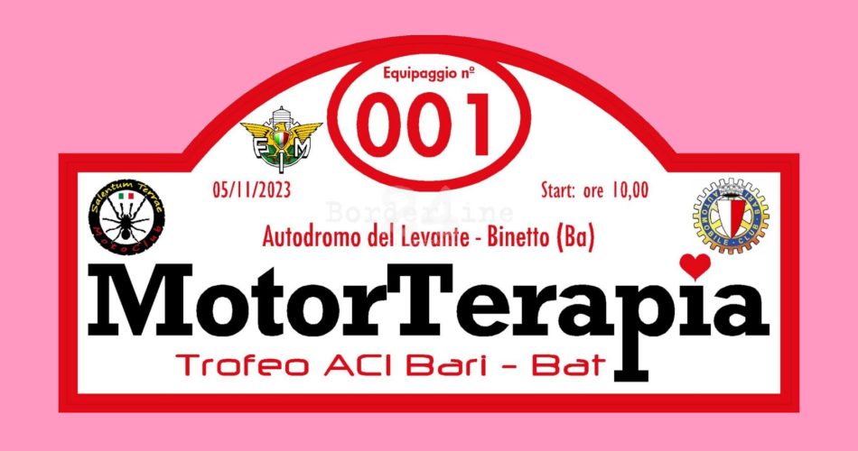 motorterapia