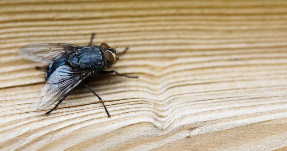 WhatsApp Image 2023-09-30 at 18.23.30