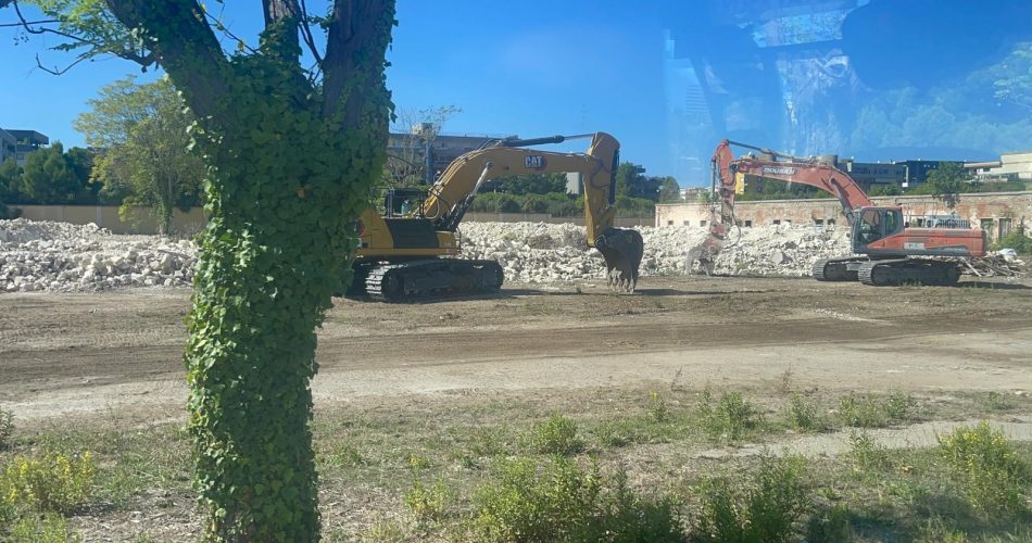 WhatsApp Image 2023-10-02 at 13.29.21