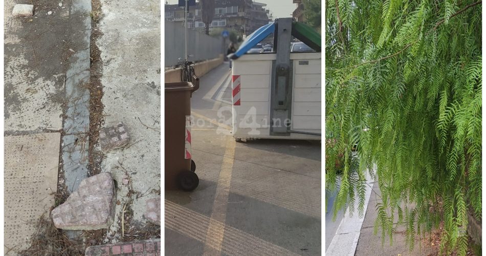 WhatsApp Image 2023-10-06 at 17.24.50 (1)