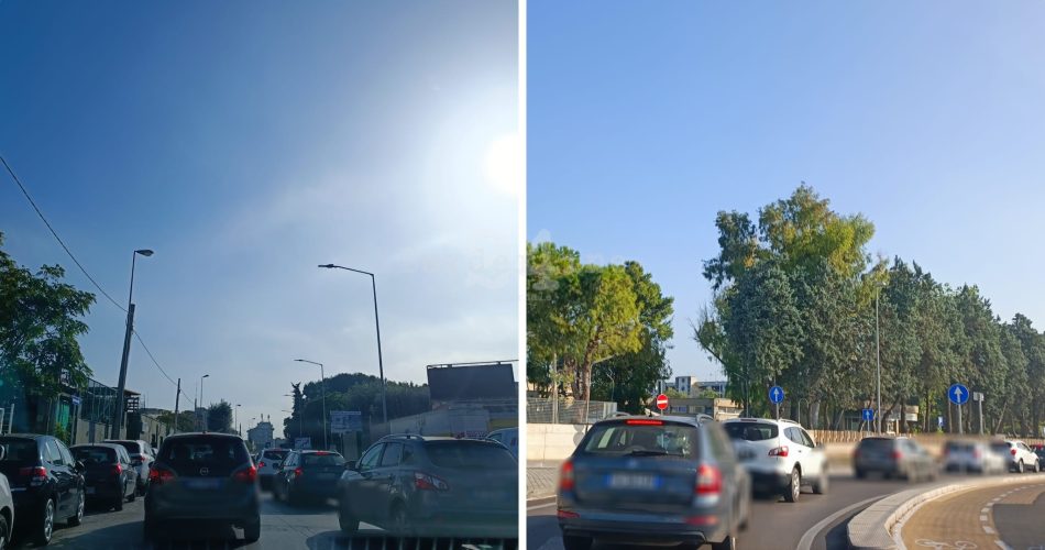 traffico poggiofranco