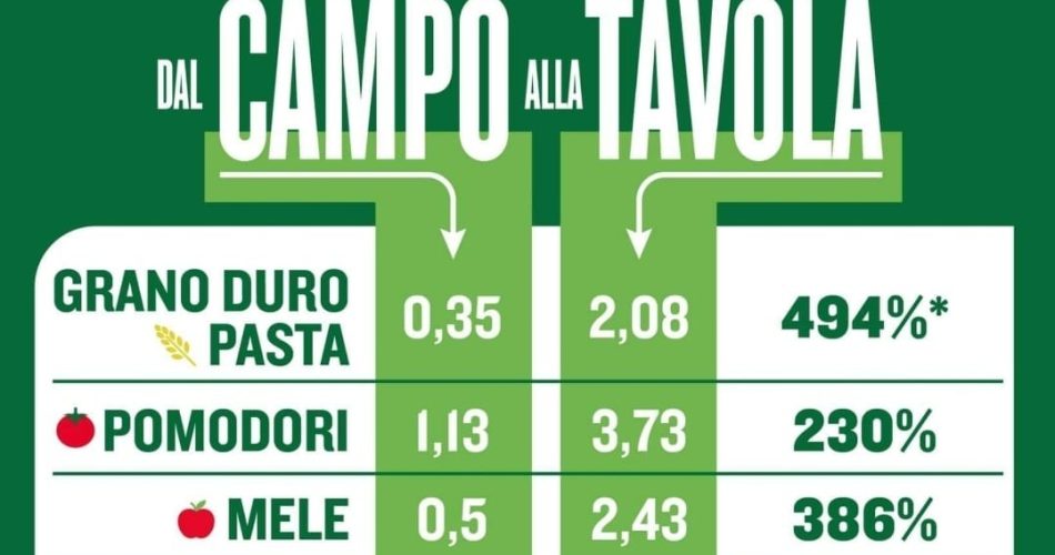 WhatsApp Image 2023-10-23 at 10.17.54