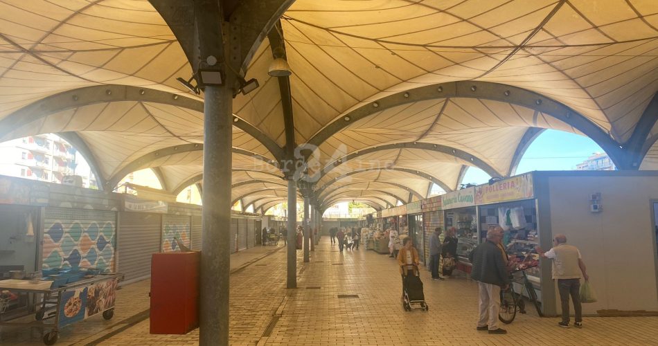 WhatsApp Image 2023-10-30 at 10.19.30