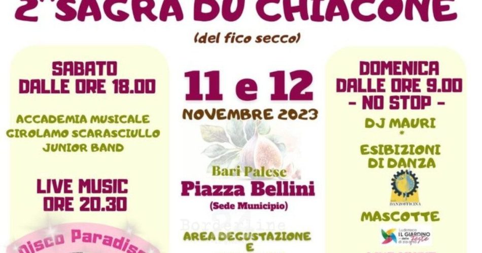 WhatsApp Image 2023-11-03 at 15.41.53