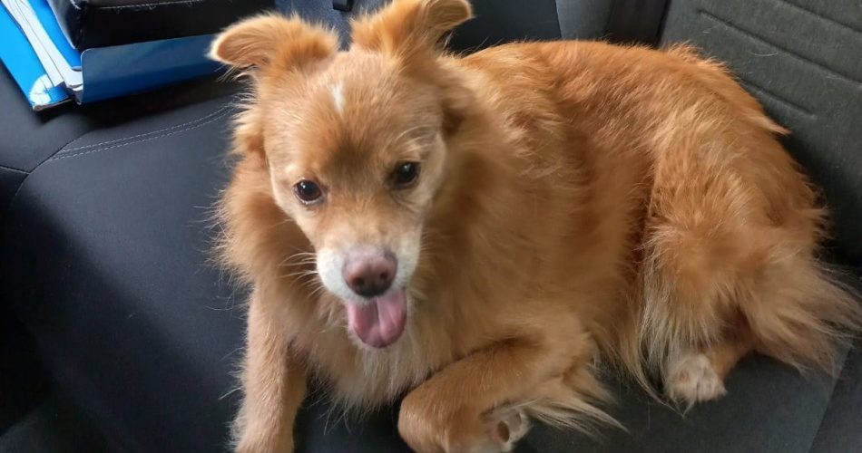 WhatsApp Image 2023-11-22 at 13.47.10