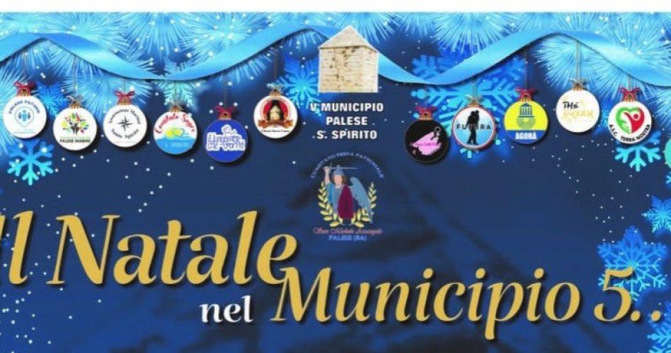 WhatsApp Image 2023-11-22 at 17.42.05 (2)