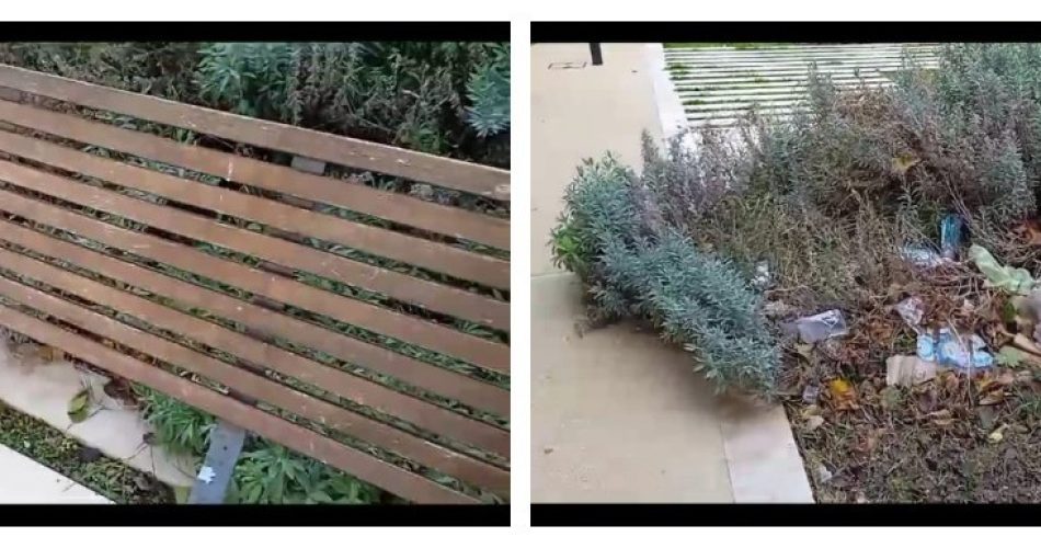 WhatsApp Image 2023-11-30 at 18.02.16