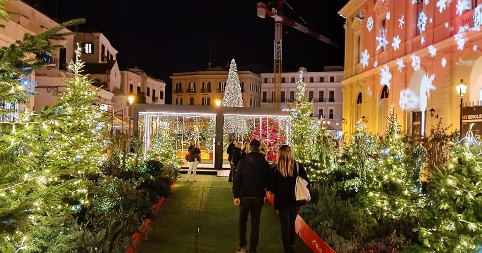 albero natale bari