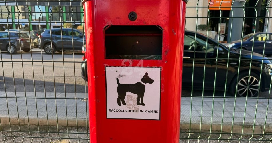 WhatsApp Image 2024-01-19 at 09.55.15