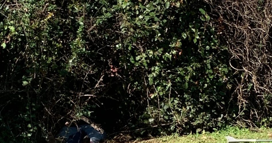 WhatsApp Image 2024-01-22 at 13.50.13