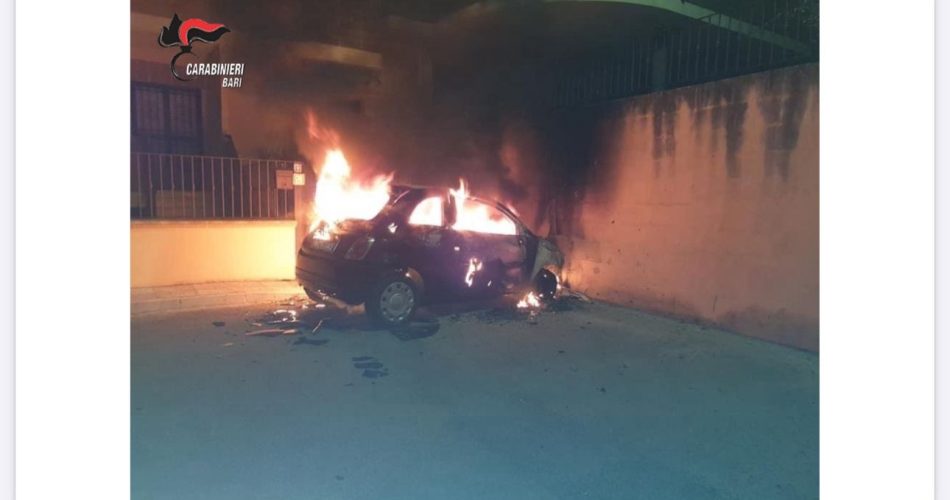 WhatsApp Image 2024-01-29 at 11.04.07