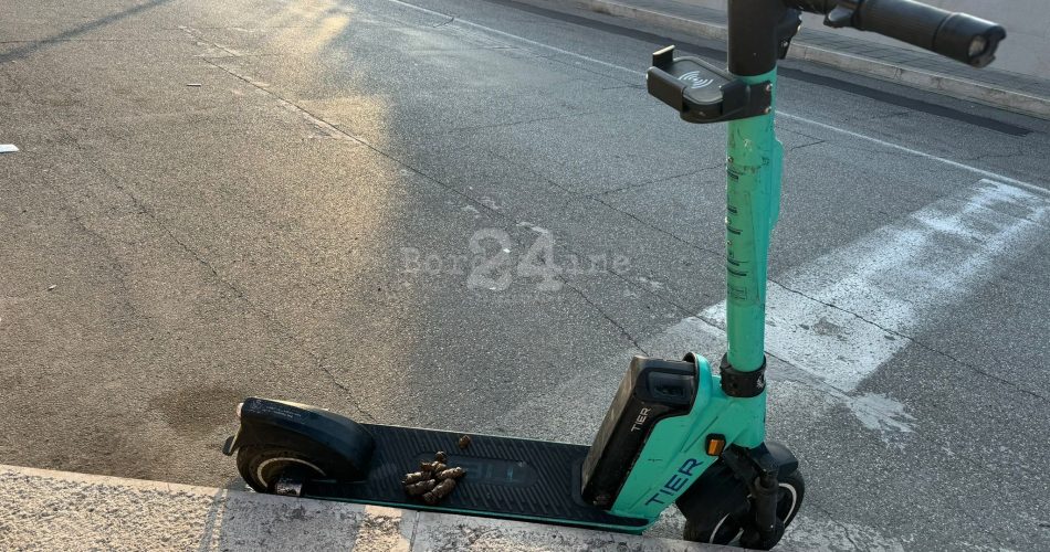 WhatsApp Image 2024-02-02 at 08.37.39