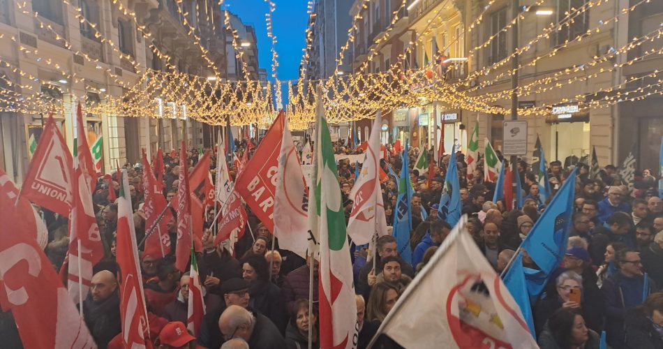 WhatsApp Image 2024-02-09 at 17.32.05 (1)